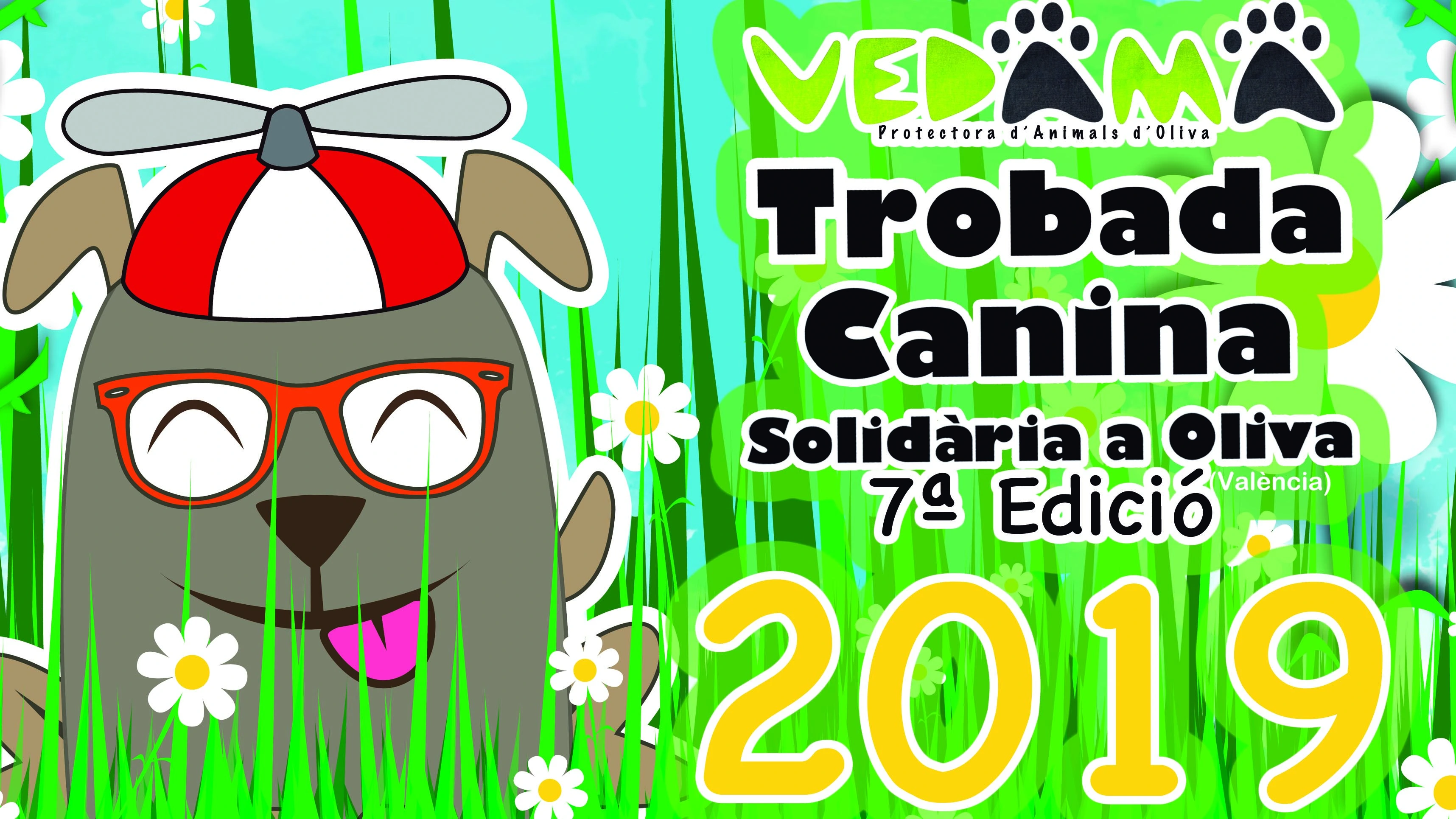 7a trobada canina solidària
